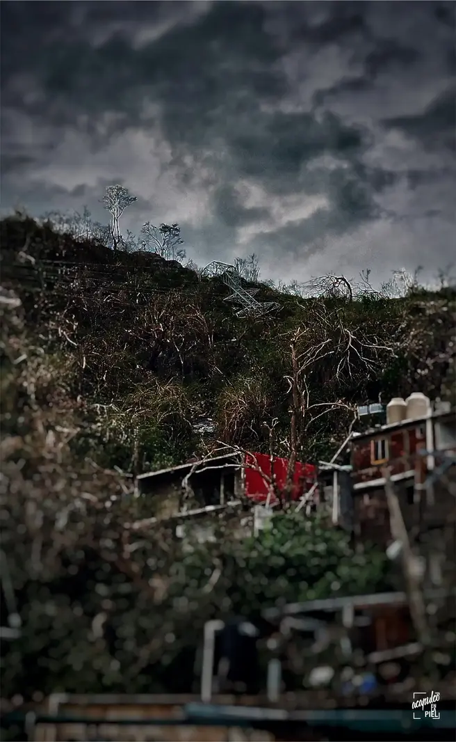 Imagen de Acapulco OTIS 